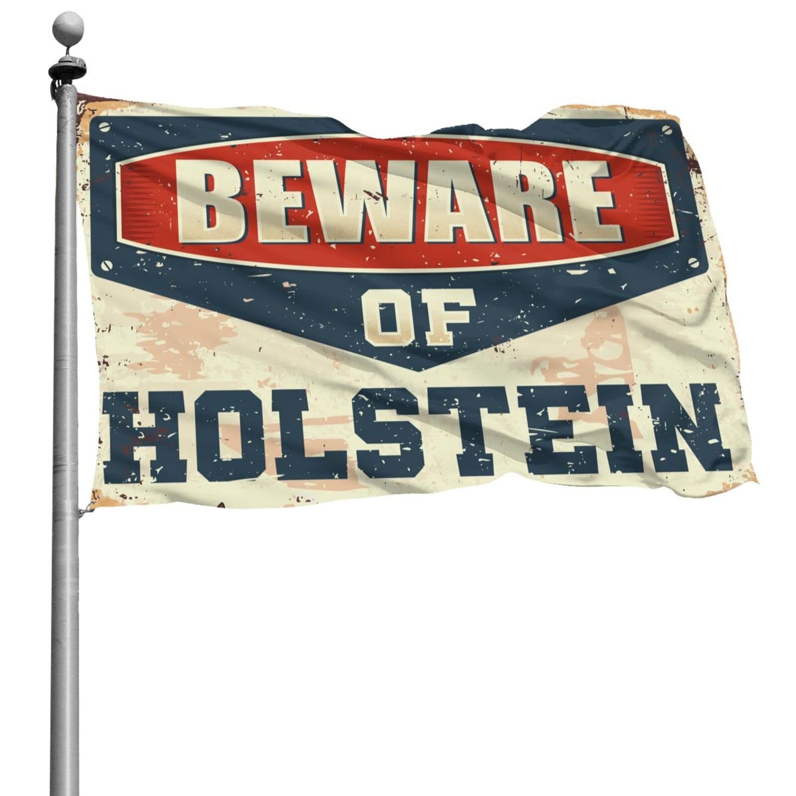 Drapeau Holstein étrange pour chambre et extérieur, format XL 152x244 cm - 7