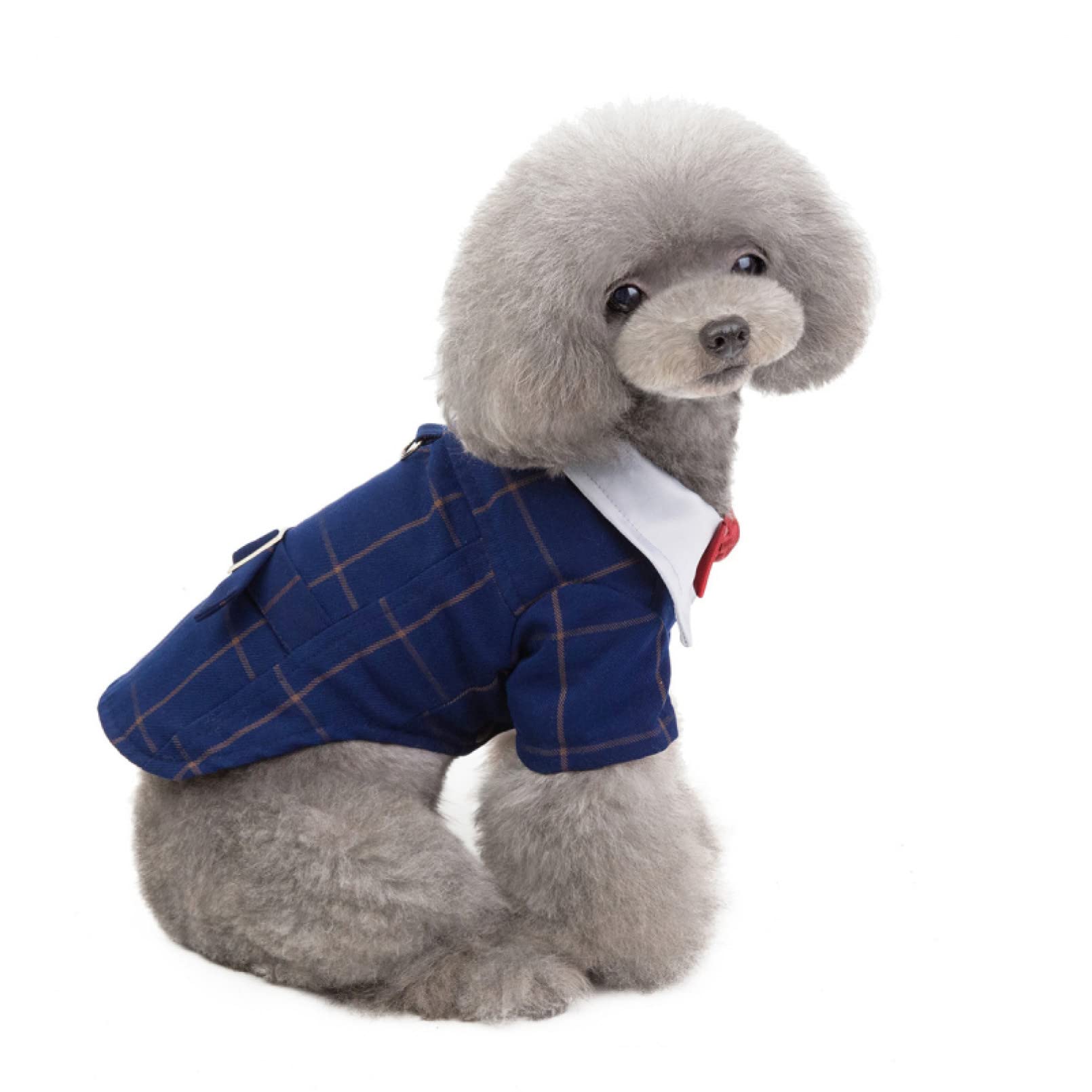 Disfraces de Halloween para Mascotas, Ropa for Perros Ropa for Mascotas Traje de Esmoquin for Perros Disfraz for Mascotas Ropa for Perros o Gatos Halloween(XXL)