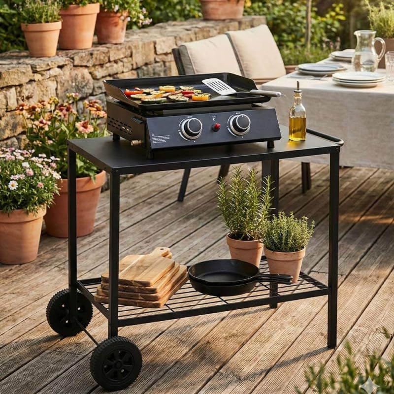 BRASERO BY FAVEX - Plancha gaz Alma 2 feux - Plaque en acier émaillé - 2 brûleurs - Piezo mécanique - Puissance 4,8 KW - Surface de cuisson 44 x 34 cm - Tiroir graisses - Jusqu'à 6 convives