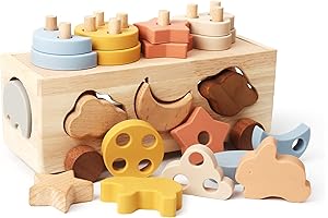 Montessori Shape Sorter Car for 1 Year Old