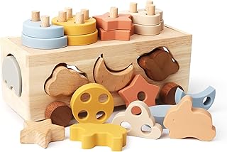 Samonyed Shape Sorter Toys for Toddlers 1-3 Montessori Stack Toy Car for 1 Year OldBaby Blocks Sorting Wooden&Silicone Educational Car Stacking Toys Montessori Toy1 2 3 Year Old Girls Boys Gifts