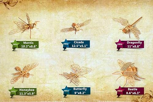 Vista 28 de Rompecabezas de dinosaurio de madera 3D, juego de 6 piezas de rompecabezas de esqueleto de dinosaurio de madera, rompecabezas 3D de manualidades