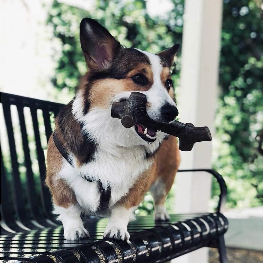 barkbone stick