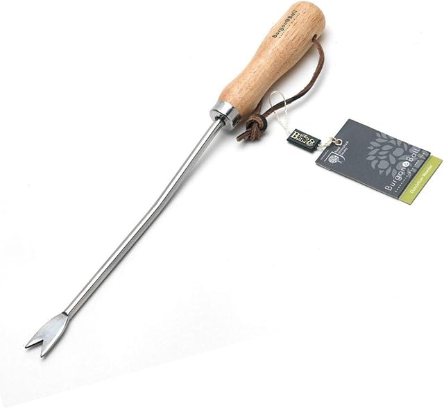 Burgon & Ball GTH/SDWRHS RHS Stainless Dandelion Weeder