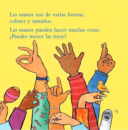 Hands Are Not for Hitting / Las Manos No Son Para Pegar Board Book