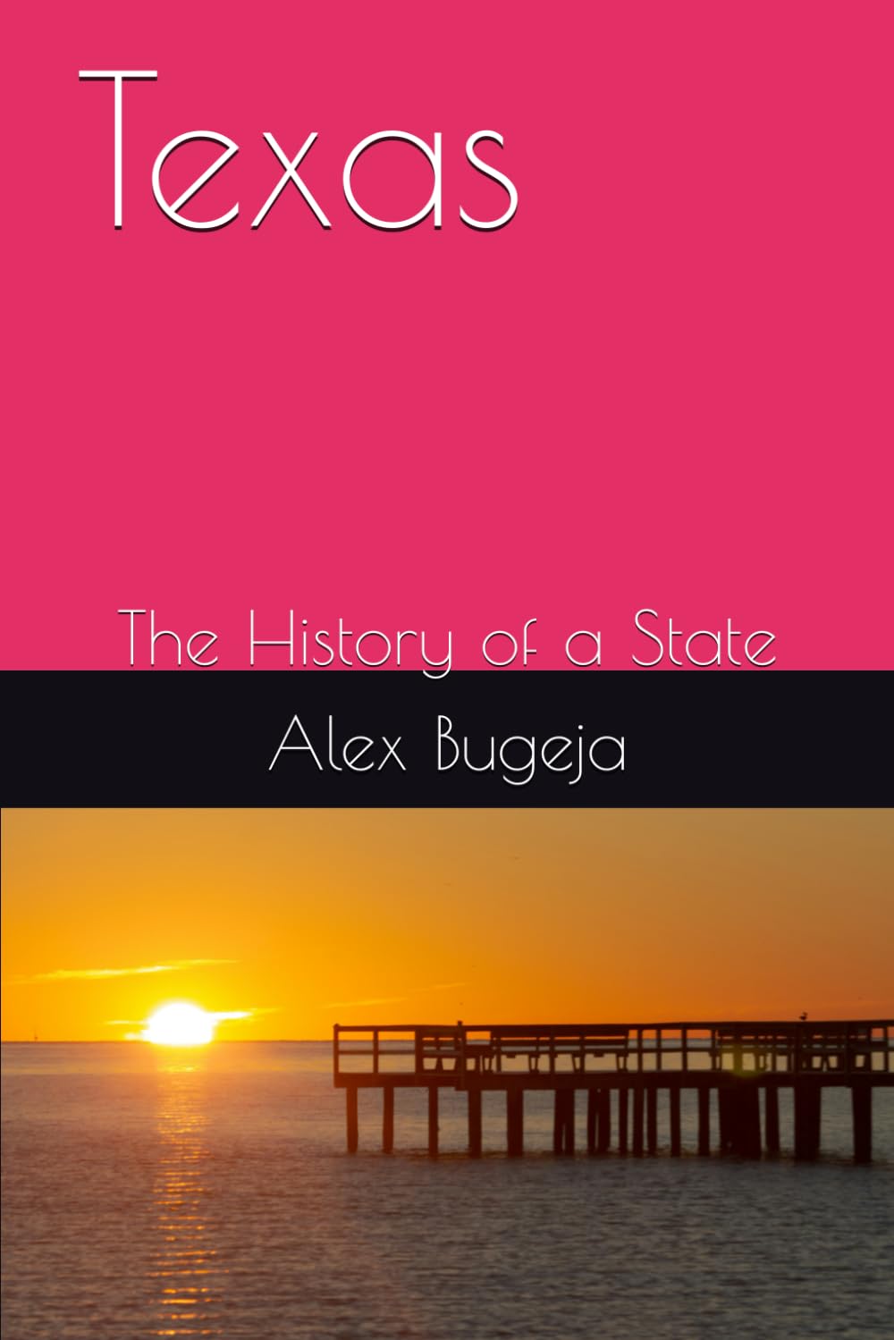 Texas: The History of a State (State Histories)