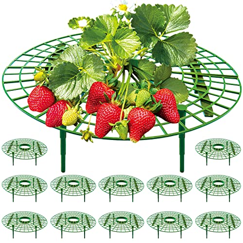 UCandy 12 Pack Strawberry Supports, strawberry holder...