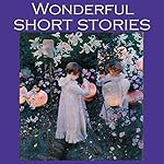 Cover of Wonderful Short Stories