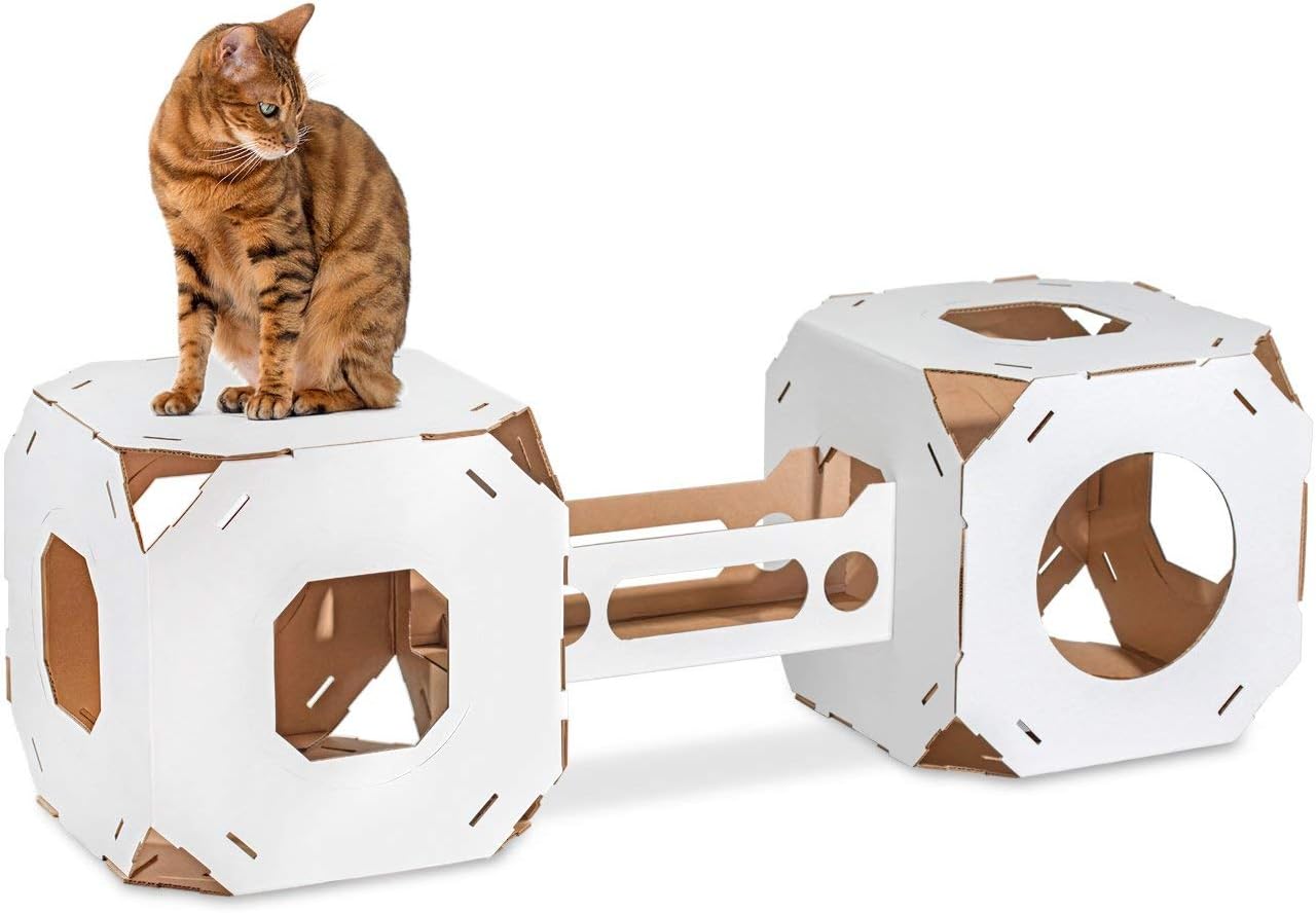 Durable, Modular Cat House Cubes/Cat Condos, Made in USA (2-Pack (New! with Bridge), Snow White)