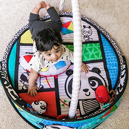 baby einstein bold new world play mat