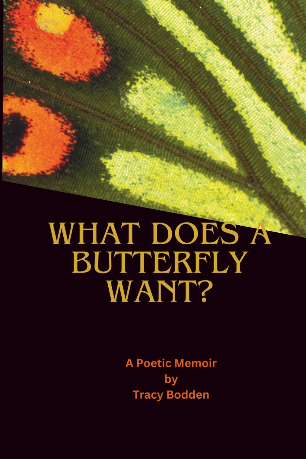 What Does A Butterfly Want?