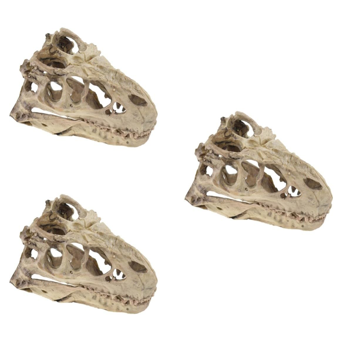 Abaodam 3 Pièces Ornement en Résine Crâne de Dinosaure Jaune Décoratif pour Aquarium et Terrarium, Décoration Réaliste Détails Délicats pour Halloween Plusieurs Styles
