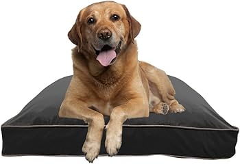 Amazon | 【オンラインストア限定】 Doggybo Max ドギボー