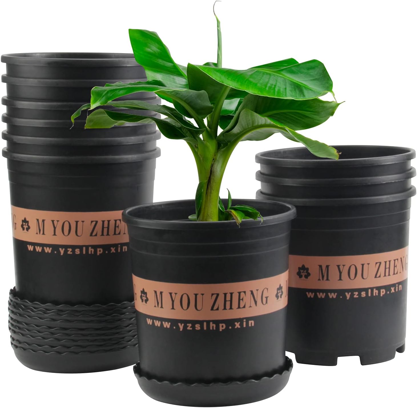 Flower Pot, ZOUTOG 1 Gallon Planters, Nursery Pots with Drainage Hole and Tray, Pack of 10, Plants not Included, Black