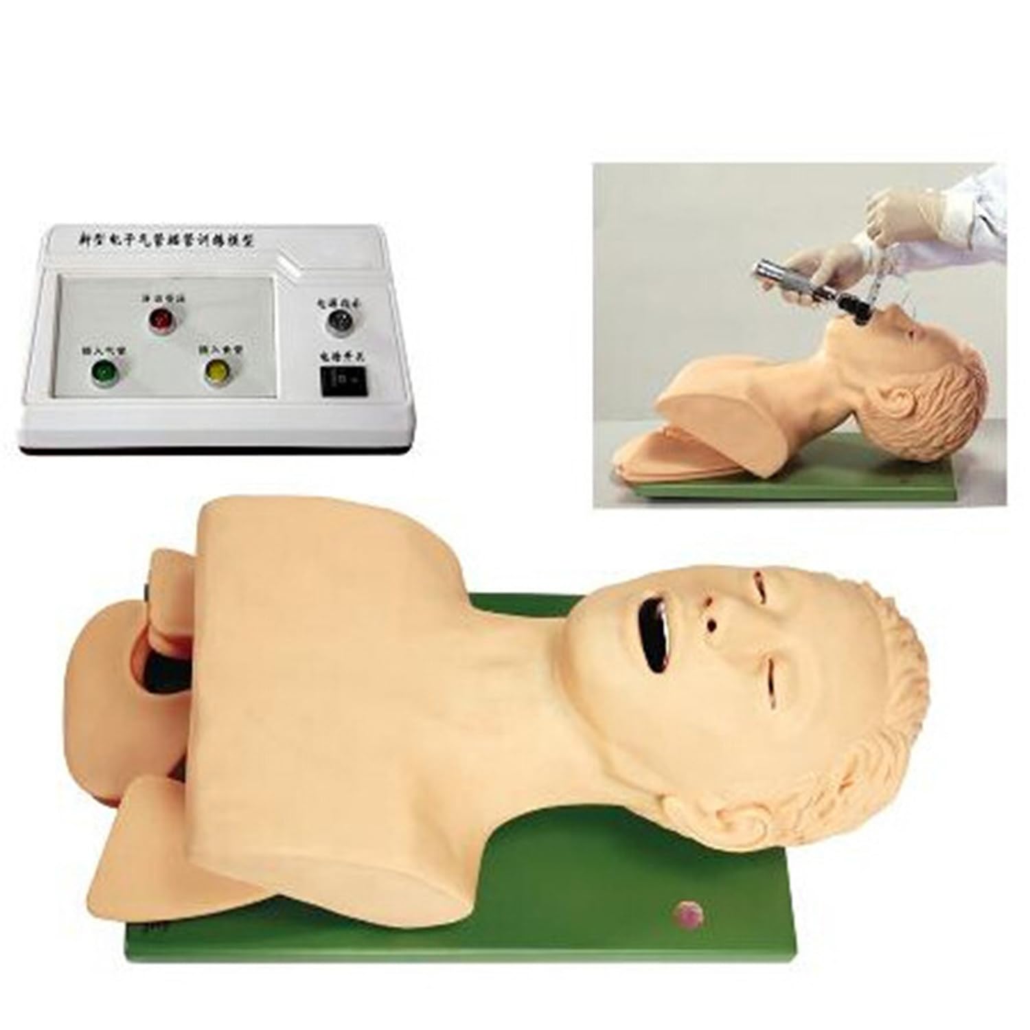 Intubación Maniquí Entrenamiento Enfermería Maniquí PVC Intubación Oral Nasal Maniquí Con Diente Alarma Dispositivo Simulador Manejo Vía Aérea Entrenador Intubación Cabeza Enseñanza Enseñó