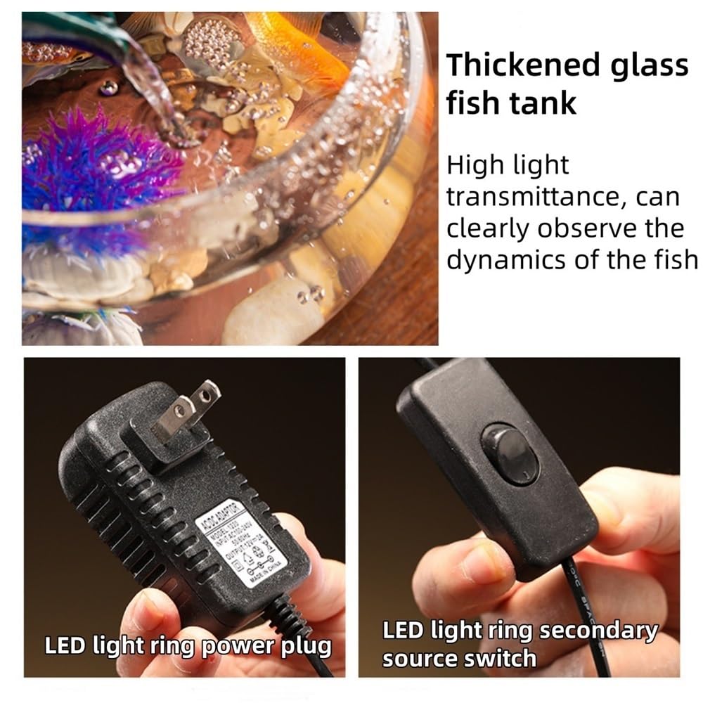 Acuario con anillo de luz LED, acuario sin cambio de agua, acuario de escritorio con adornos de cerámica, adecuado para el hogar u oficina (azul)