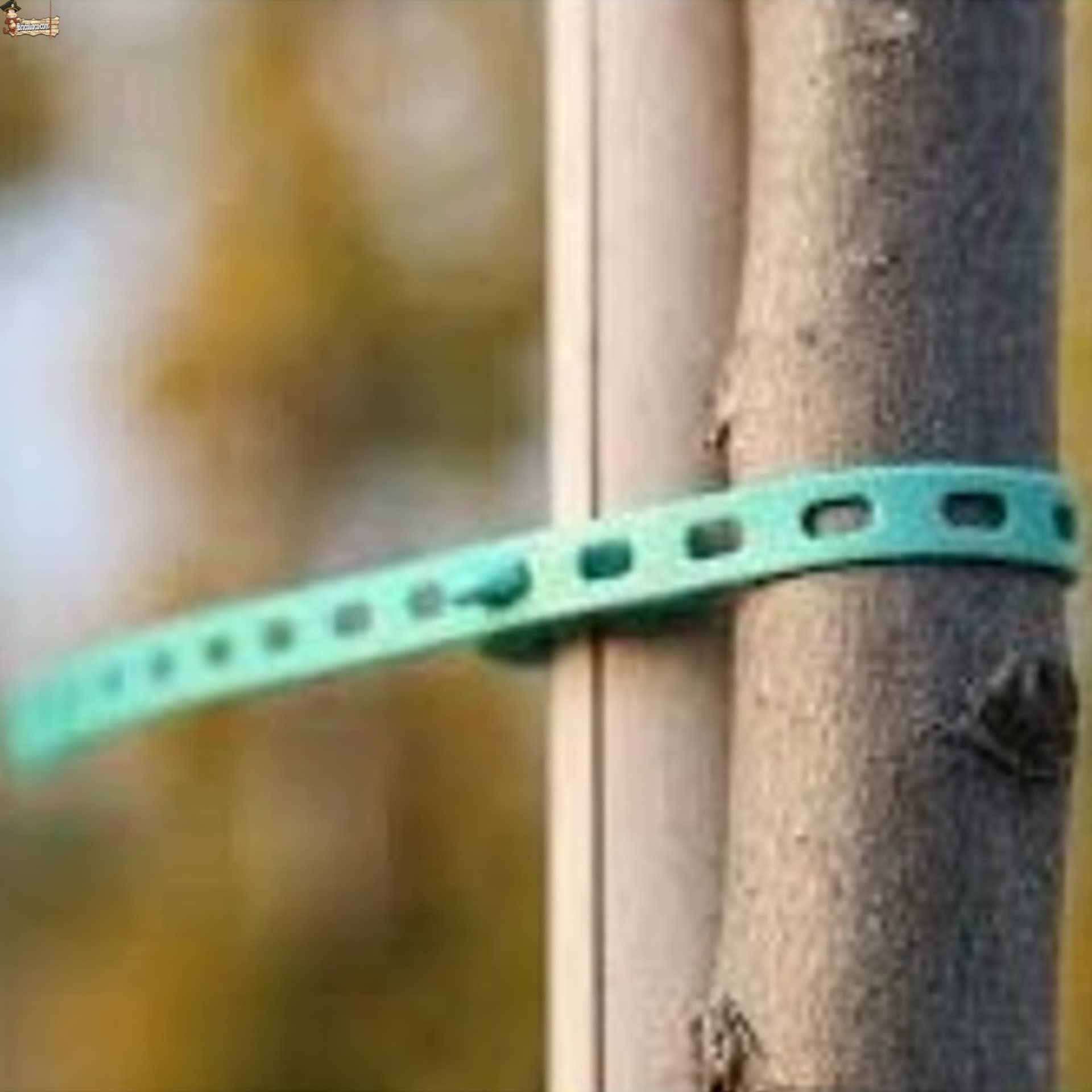 BricoLoco.com Flangia elastica intornata Piante e Tagli. Regolabile e Riutilizzabile. Clip per unire il Tallo al Sistema Tutore, guidato, Atato. (50, lunghezza 17,5 cm)