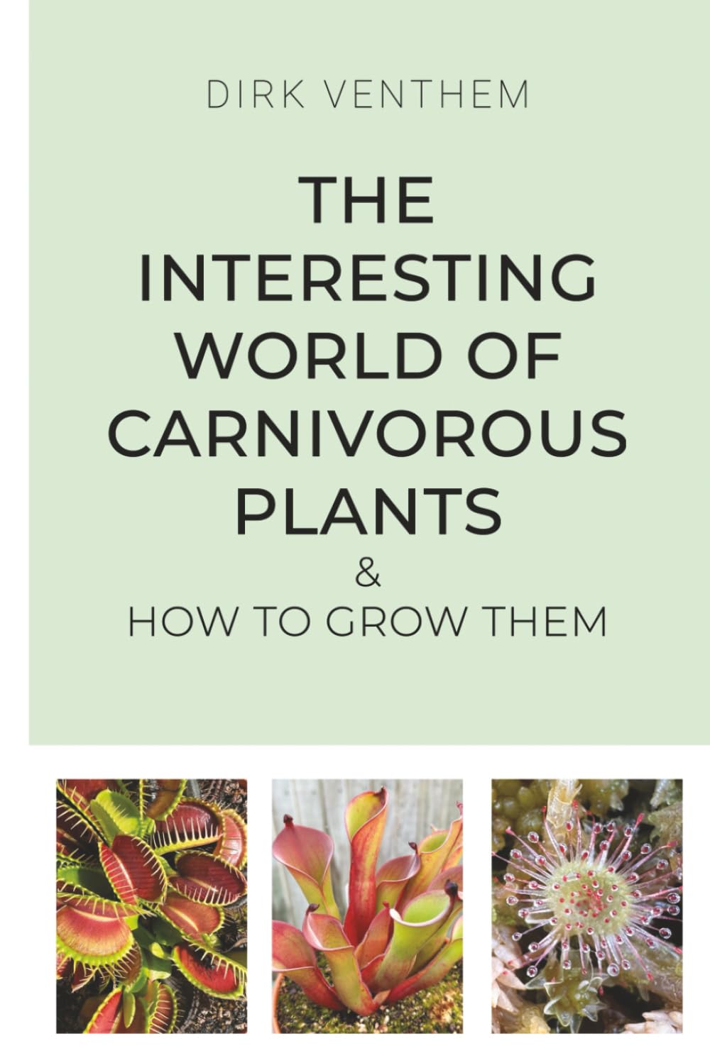 The Interesting World of Carnivorous Plants & How to Grow Them