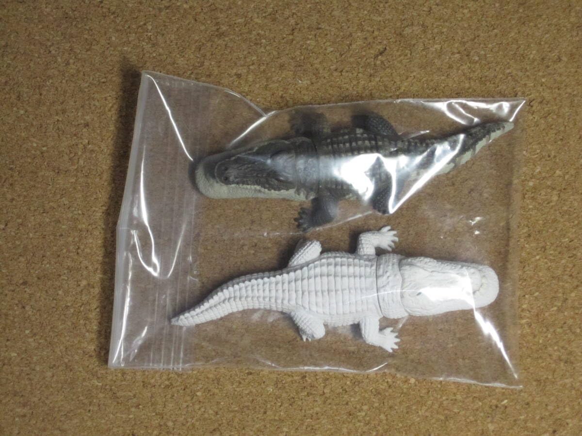 Amazon | 「パンダの穴シャクレルプラネット」：ワニ（ノーマルカラー