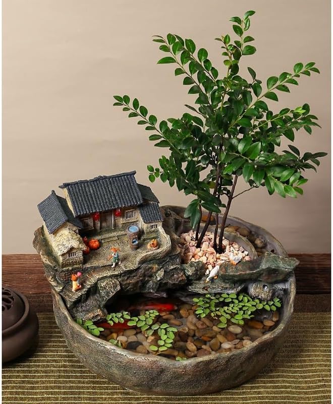 コハウチワカエデ/山採り天然木【現品発送】管理70488