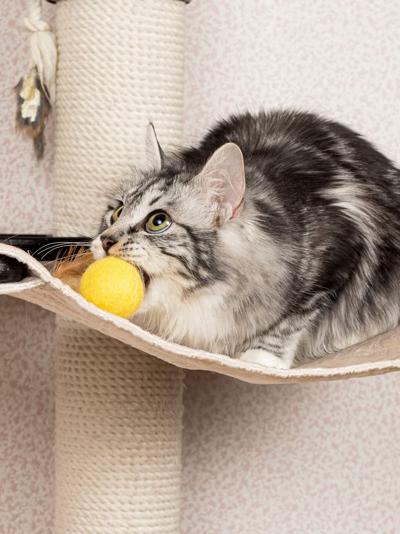 Amazon | ドギーマンハヤシ じゃれ猫NekoToyBox 羽つき羊毛ボール
