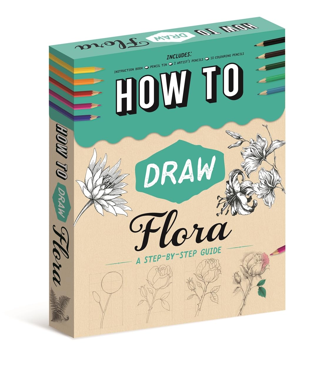 How to Draw Flora (With a step-by-step guide and artist's tools)