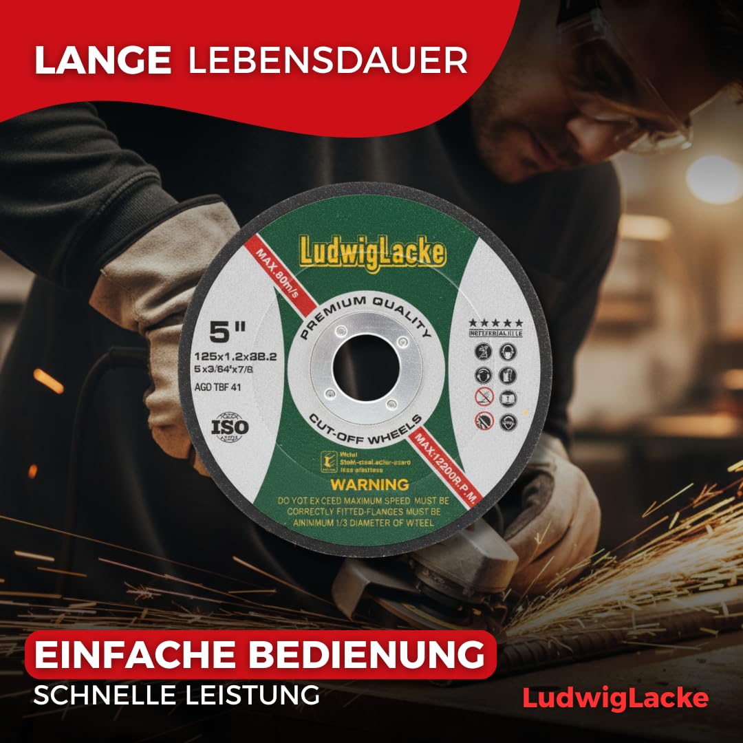 Lot de 10 disques à ébarber en métal flexible Ø 125 x 6 x 22,2 mm