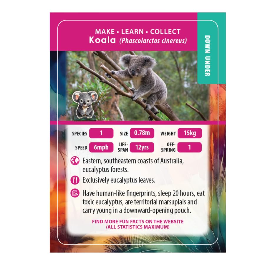 Crystal Art Koala, Buddy (CAFGR-31GEN057)