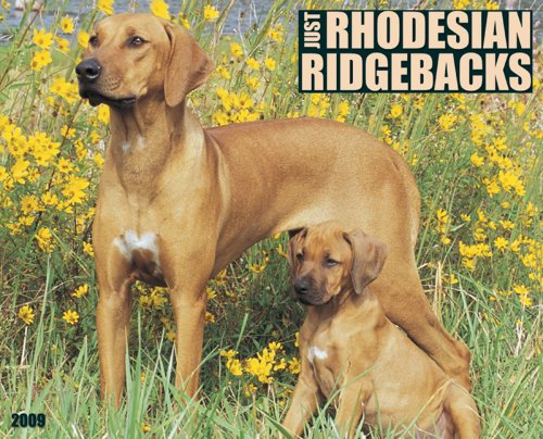 Just Rhodesian Ridgebacks 2009 Calendar: Willow Creek Press ...