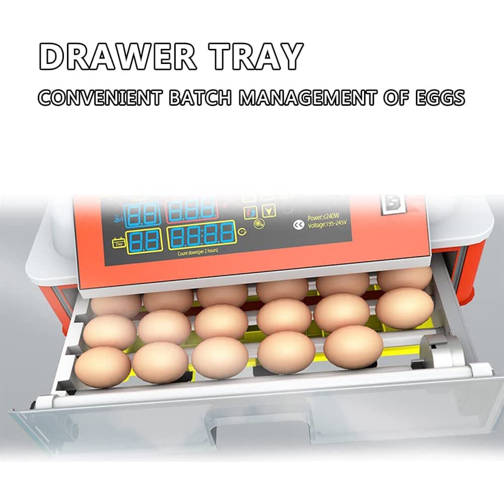 Incubatrice Intelligente per Uso Domestico, Piccola incubatrice Completamente Automatica, incubatrice Completamente Automatica per Uova di Gallina, Anatra e Oca con,
