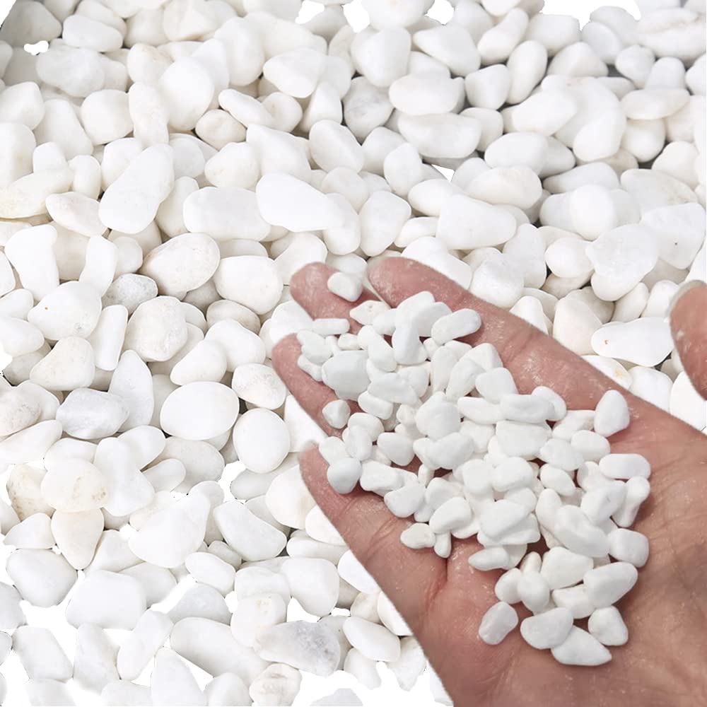 Amazon.co.jp: ZHUDDONG 3ポンド ホワイトストーン 水槽用 白石 水槽