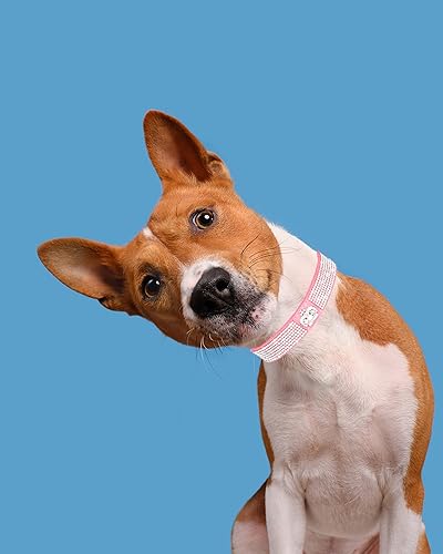 Miniatura 5 de Collar de perro para perros pequeños, collares de cuero ajustables para perros, collar de perro rosa, collar de perro con diamantes de imitación