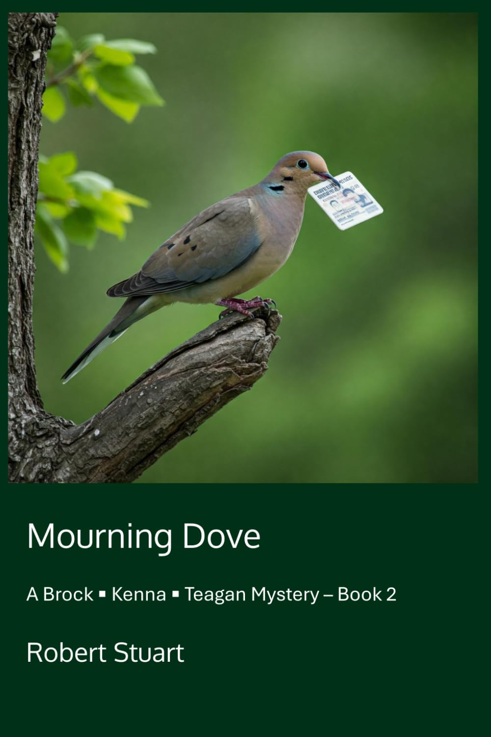 Mourning Dove: A Brock Kenna Teagan Mystery Book 2