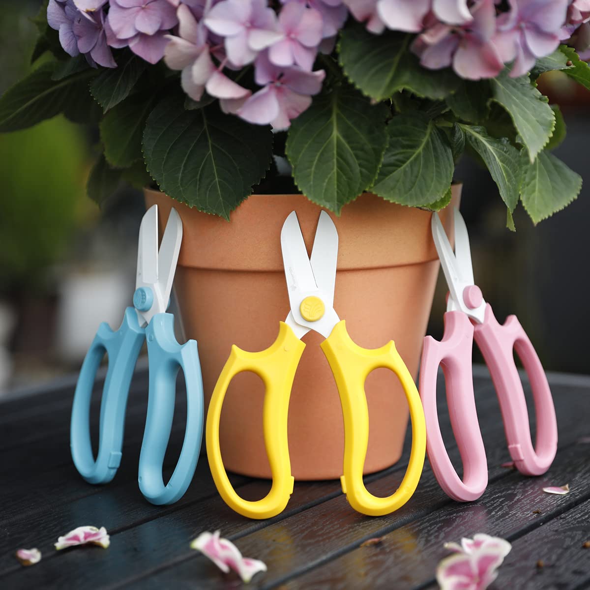 Amazon | WORTH GARDEN カラー剪定鋏 園芸はさみ 刃部フッ素樹脂