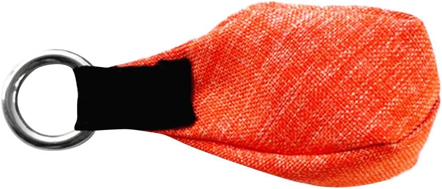 Arborist Tree Surgeon Throw Weight Bag for Tree - 350g/12oz, Aerodynamically Designed, Oxford Cloth, Stainless Steel Attachment - Best Tool for Tree Climbing and Rigging - Orange, 350g