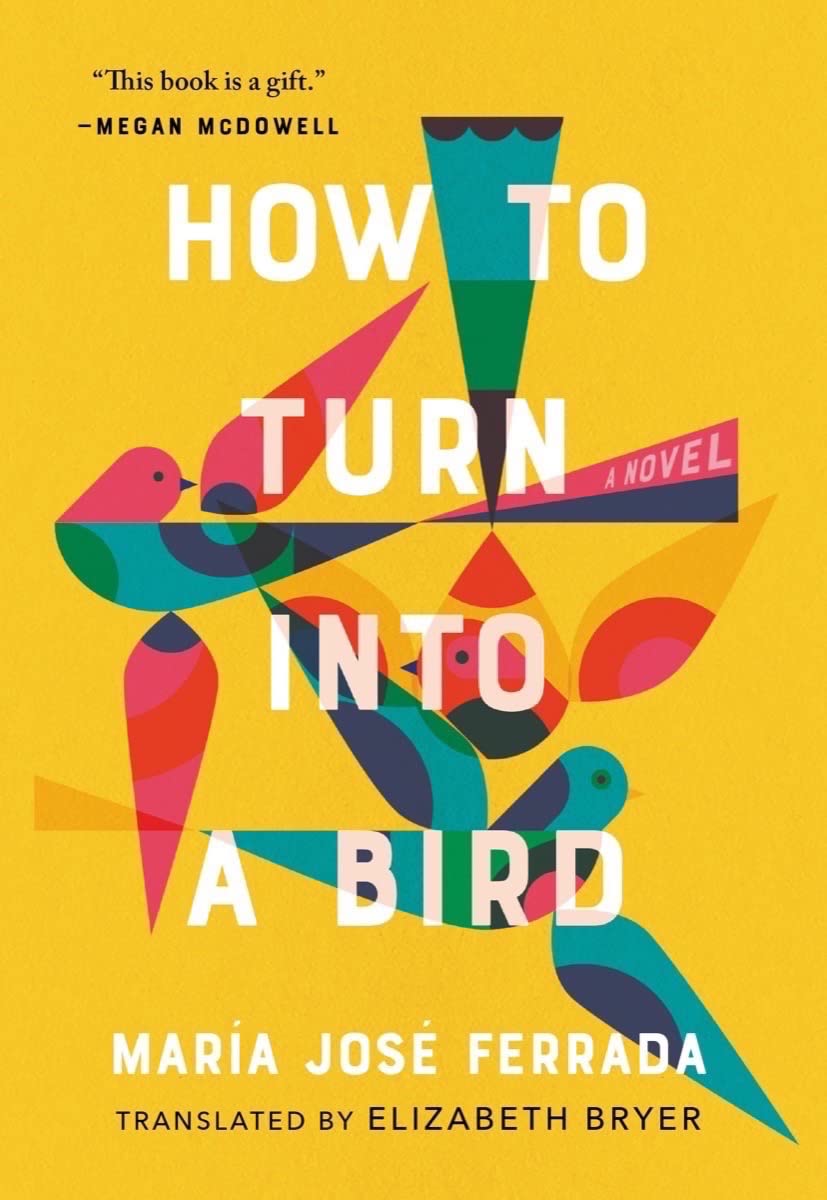 Buy How to Turn Into a Bird — BookShops.in