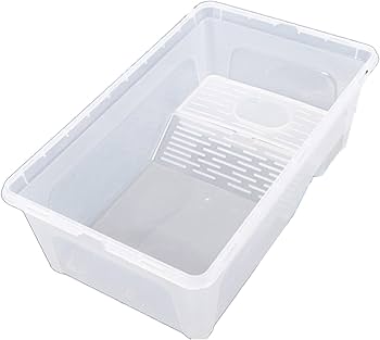 Amazon | Asdays 亀 水槽 カメ タートルボックス ひなたぼっこ