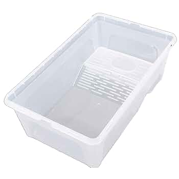 【みどりがめ】 61cxGM5vyDL._UF350,350_QL50_.jpg