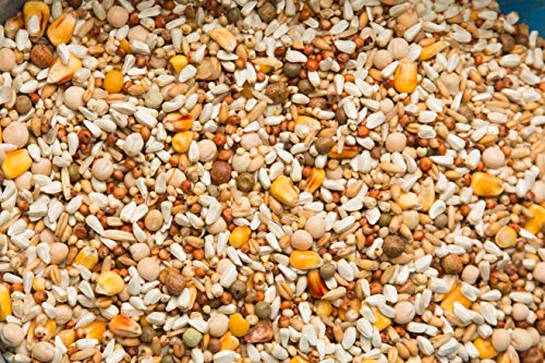 Purgrain European Supreme SYC–50 lb bag