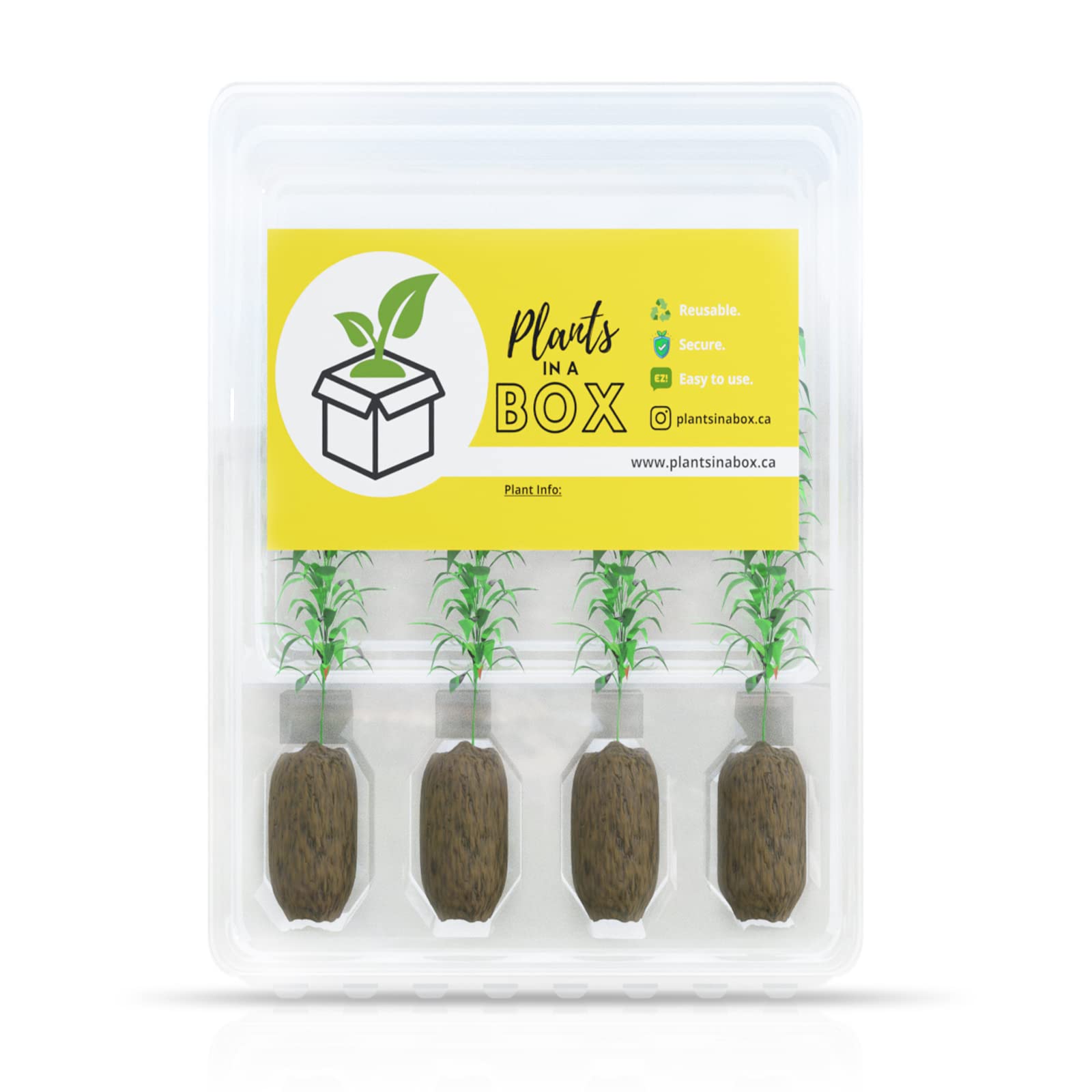 plants mania　THE SIDE UP BOX Mystery Plant Box – Niagara Fresh Market