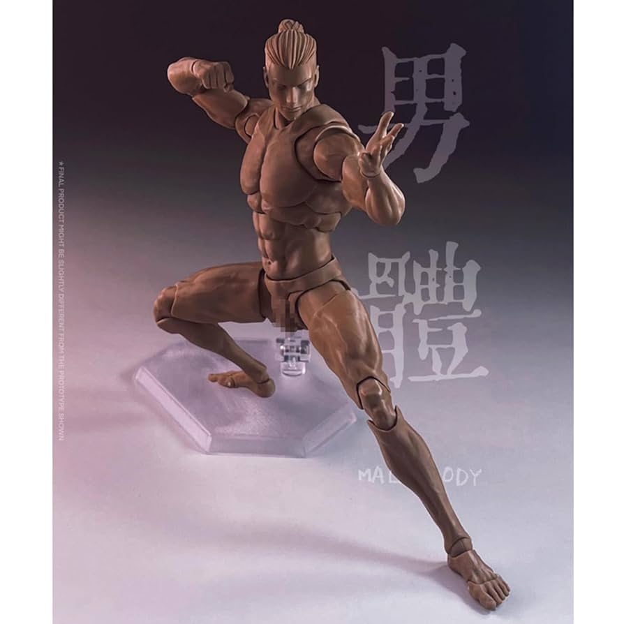 Amazon.co.jp: HiPlay Romankey × Cowl 1/12 超可動 男性 素体 C