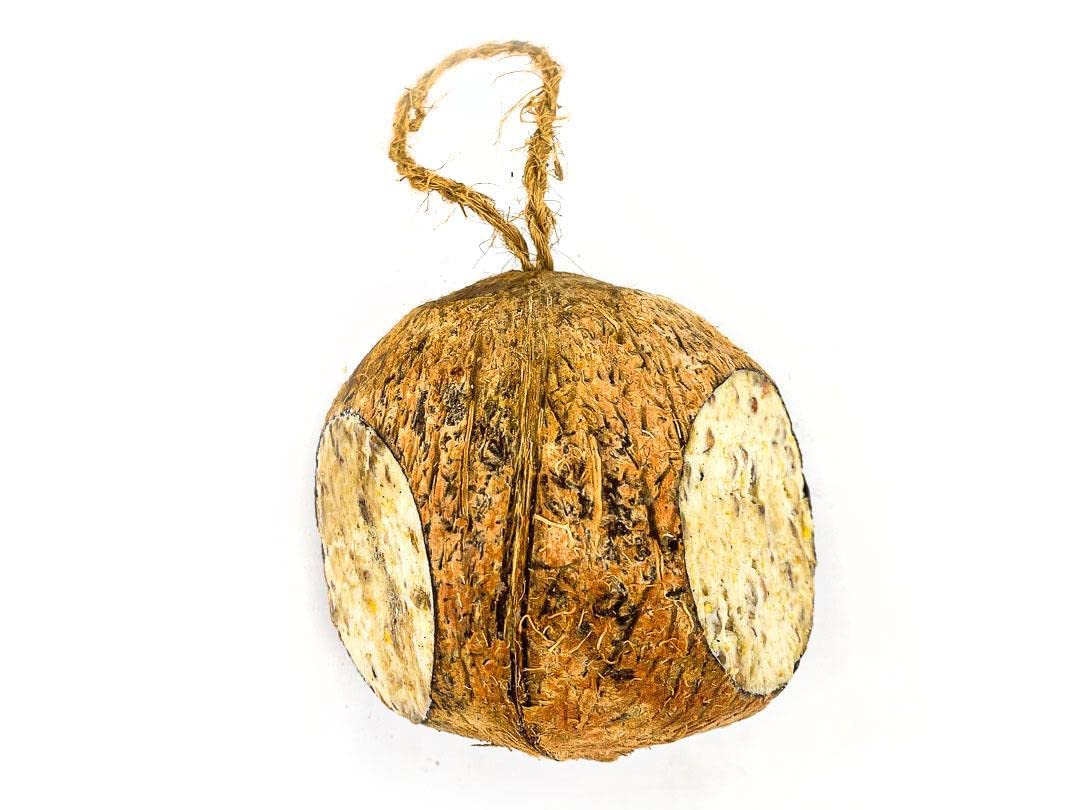 Chubby Wild Bird Food Whole Filled Coconut