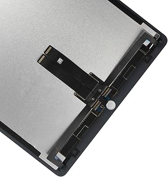 iPad本体 Zann 11インチiPad Pro Wi-Fi + Cellularモデル 2TB（Nano-texture