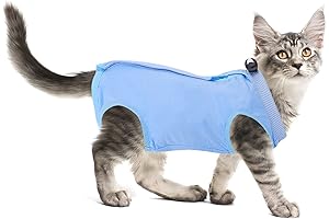 Molain Kitten Recovery Suit: Essential Comfort for Healing Kitties