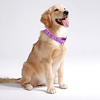 Vista 2 de Martingale Dog Collars - Reflective Dog Collar with Quick Release Buckle Adjustable Nylon Training Dog Collar for Puppy Small Medium Large Dogs