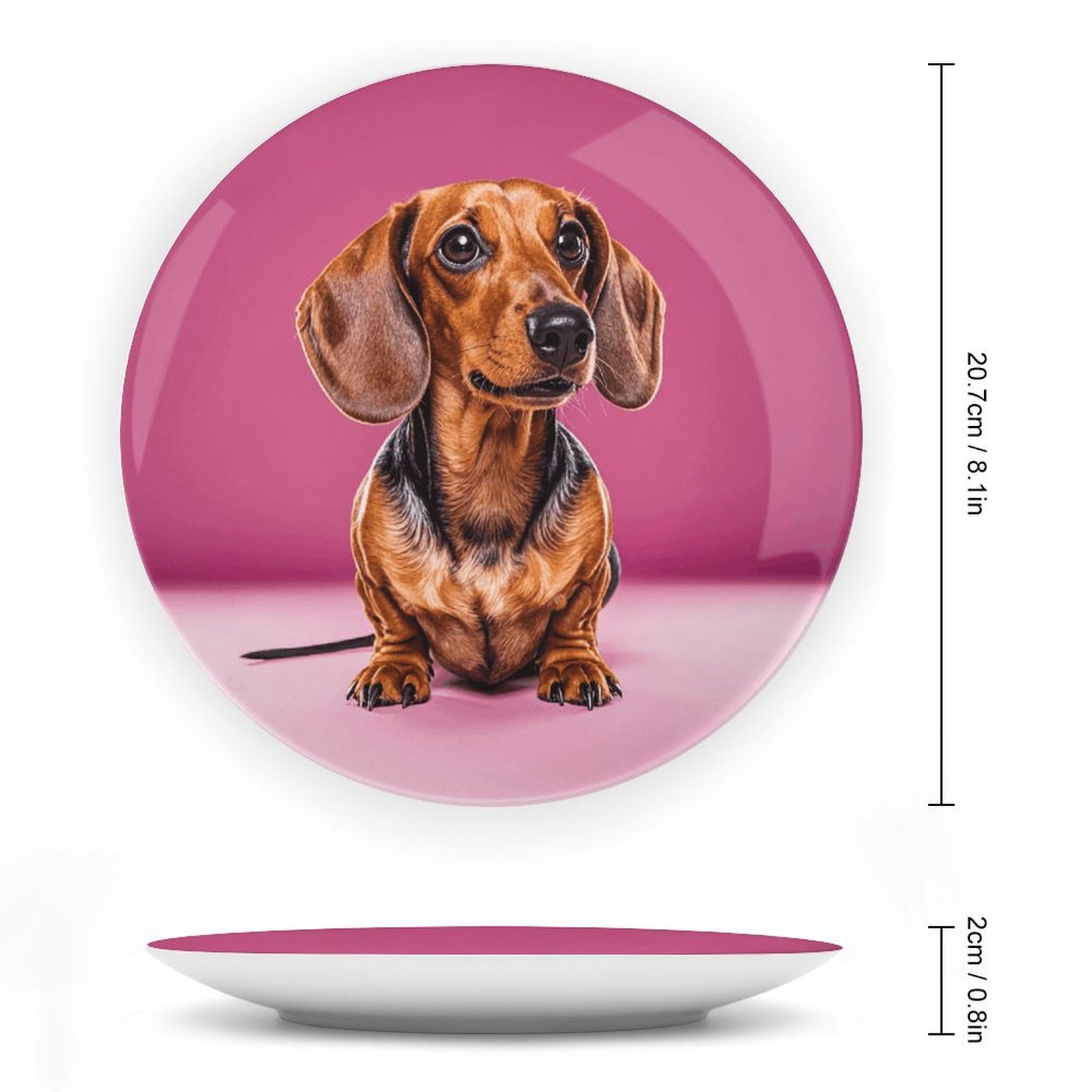 Teckel Weiner Assiette décorative en porcelaine anglaise avec support de présentation - Assiette décorative ronde en porcelaine - 20,3 cm