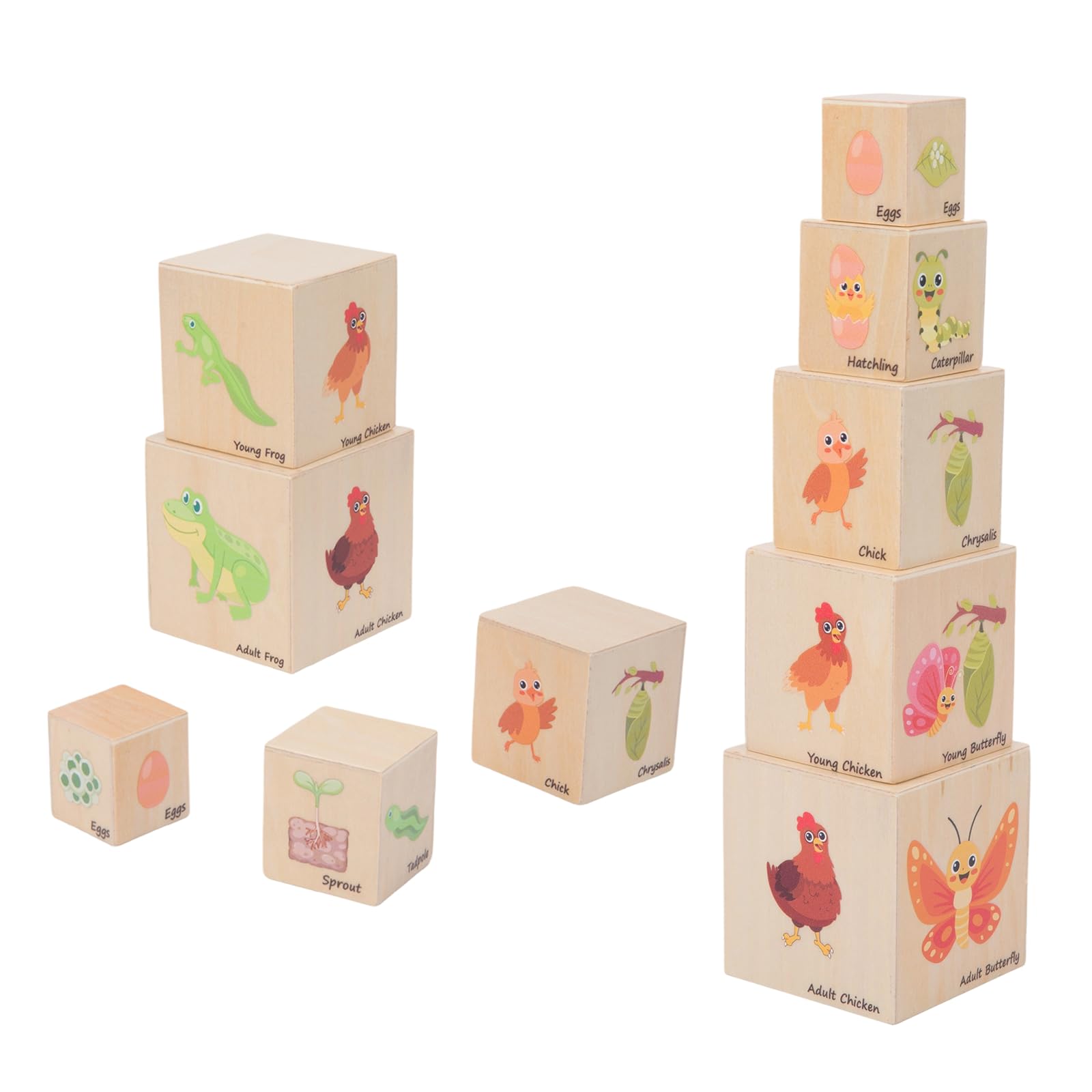 Bloques de anidación de madera para el ciclo de vida, juguetes Montessori de clasificación y apilamiento para niños, cajas de cubo de aprendizaje educativo preescolar para niños pequeños a partir de 3