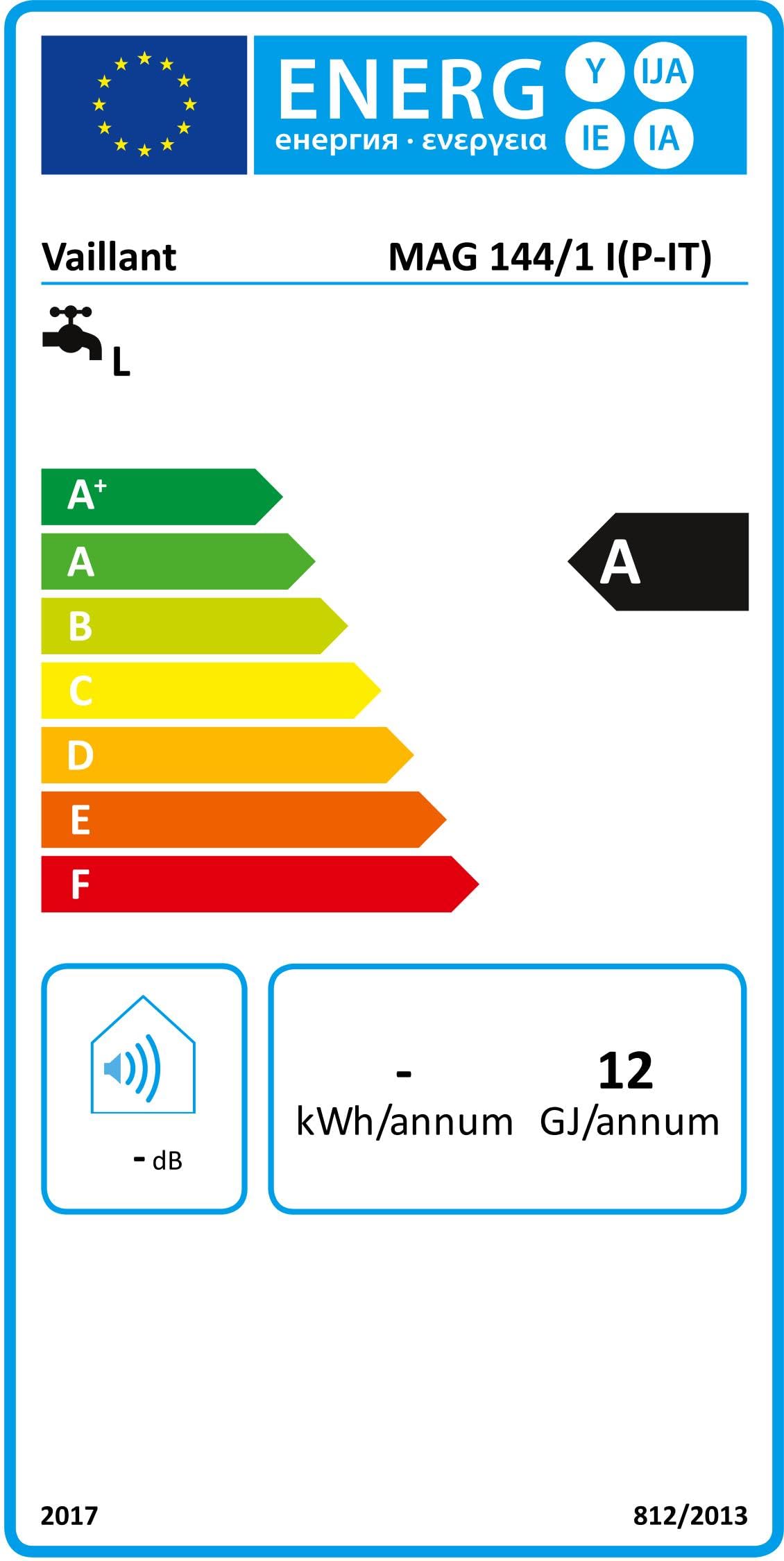 Vaillant Atmomag Chauffe-eau, 10022573