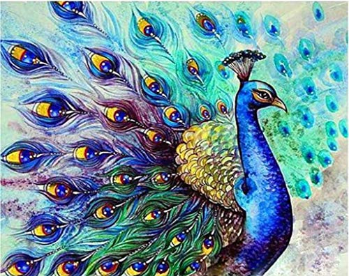 Pintar por números para Adultos Animales Pavo Real - Lienzos para Pintar por números con Pinceles y Colores Brillantes - Cuadro de Pinturas con numeros sobre Lienzo Dibujado Adultos y niños