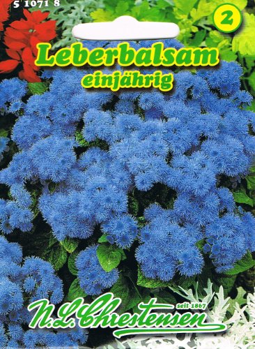 Leberbalsam einjährig, Dauerblüher, für Beet-, Rabatten-,...